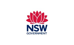 Logo 13